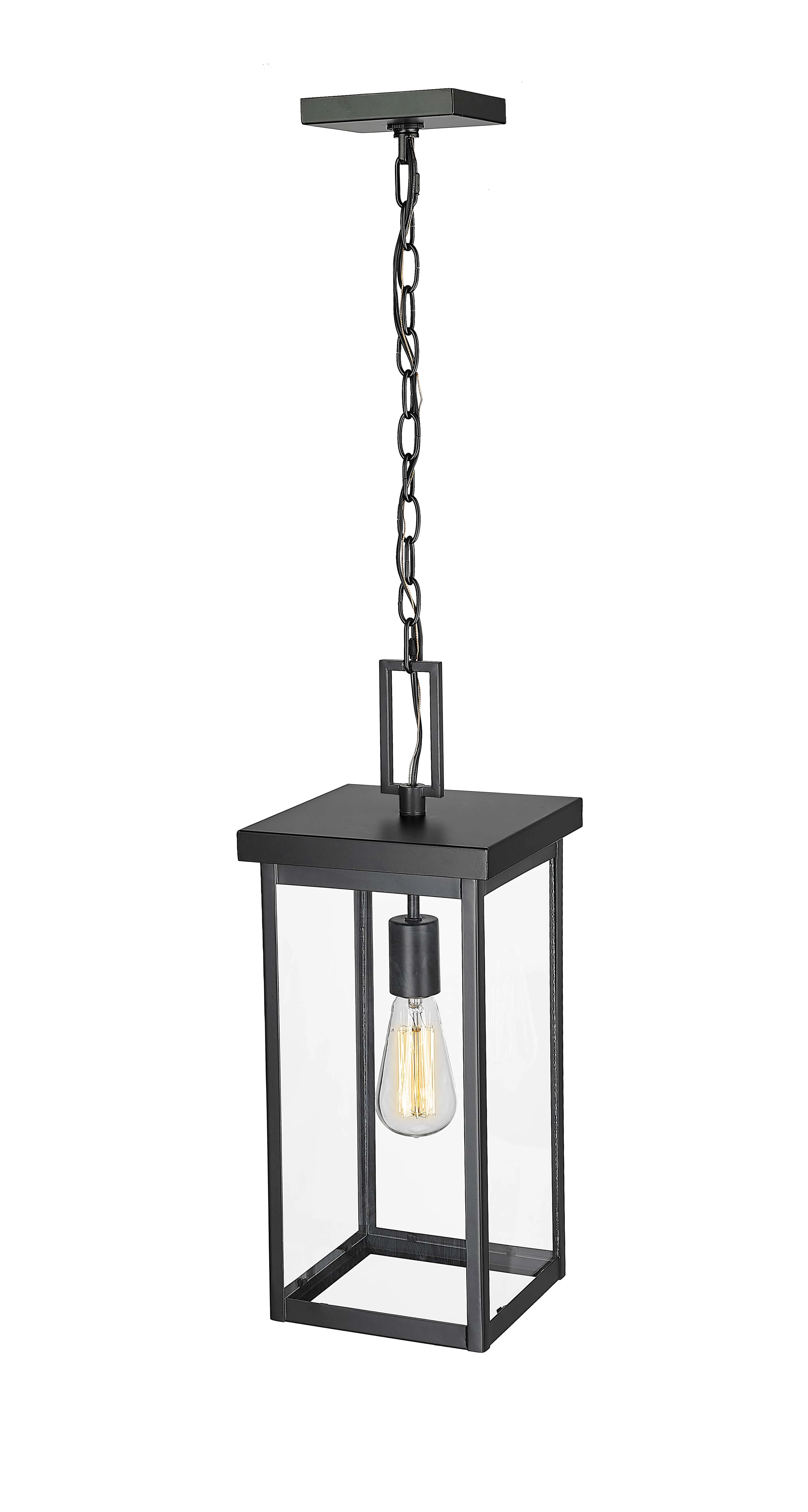 Barkeley Outdoor Hanging Lantern - Powder Coated Black - Clear Glass - 8in. Diameter - E26 Medium Base