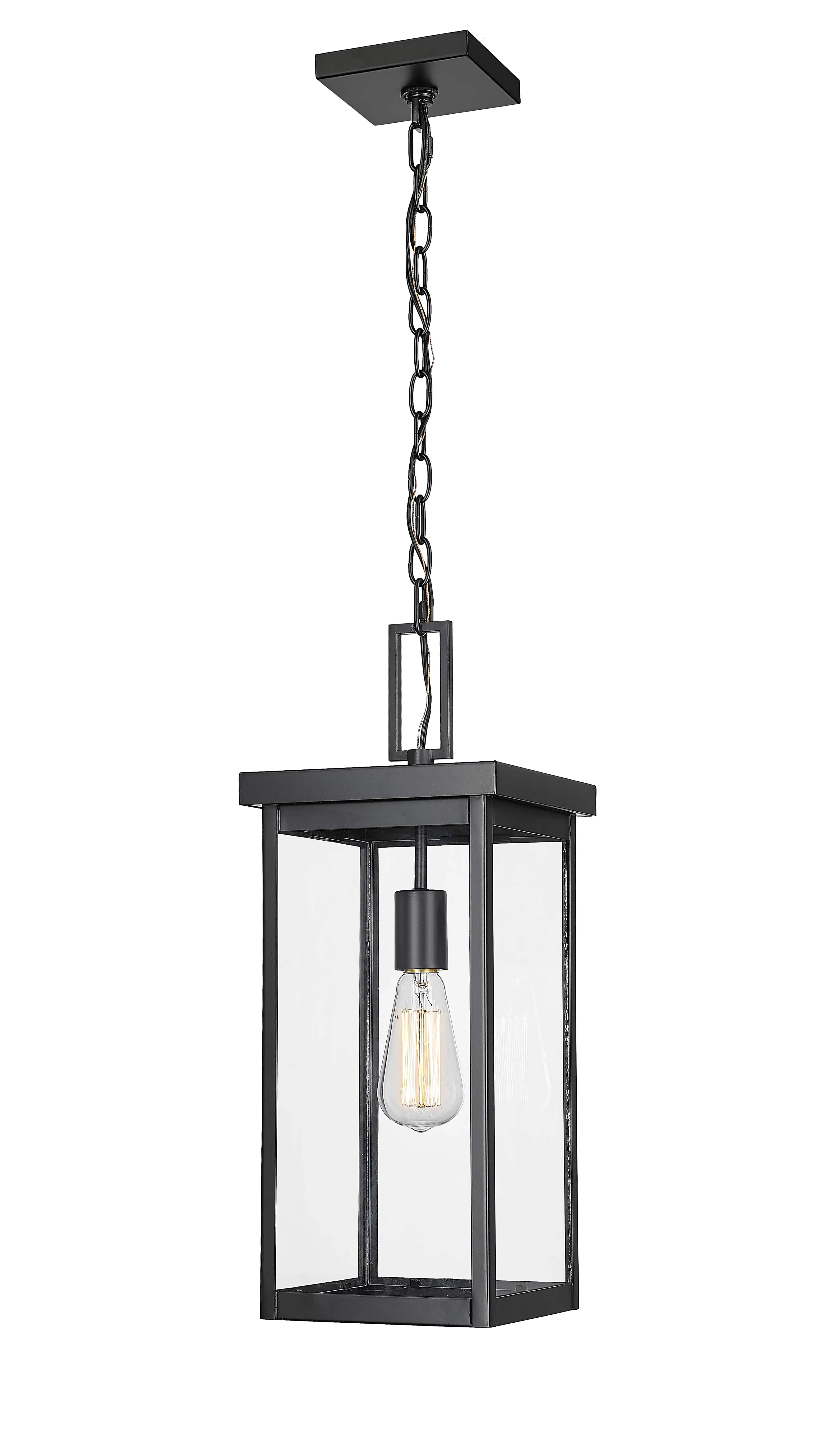 Barkeley Outdoor Hanging Lantern - Powder Coated Black - Clear Glass - 8in. Diameter - E26 Medium Base