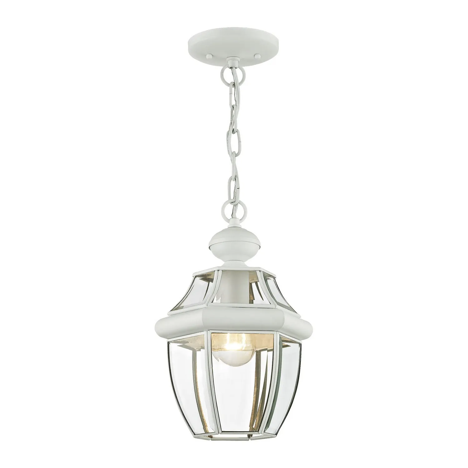 Monterey 1-Light Outdoor Chain Lantern