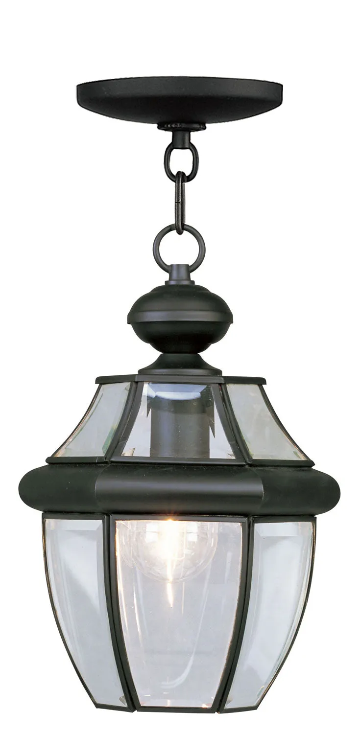 Monterey 1-Light Outdoor Chain Lantern