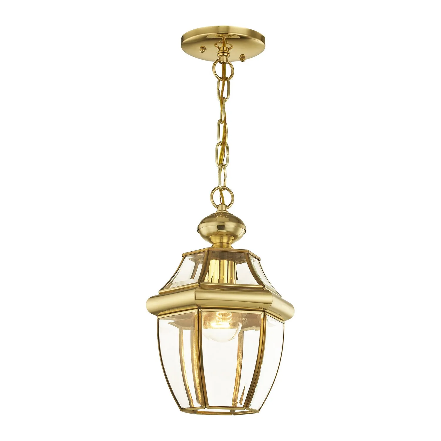 Monterey 1-Light Outdoor Chain Lantern