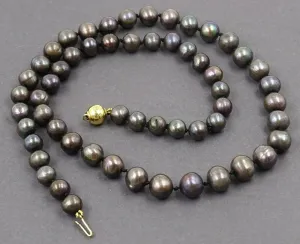 Strand of Black Freshwater PEARLS of Good Lustre with 9ct Yellow Gold Ball Clasp